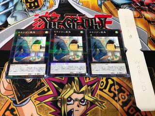 キキナガシ風鳥 ノーマルパラレル 3枚セット てら