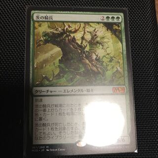 茨の騎兵