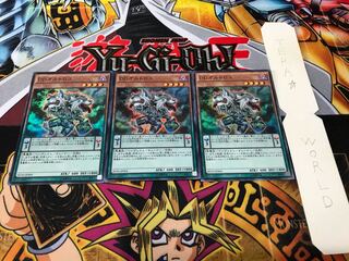 DDオルトロス スーパー 3枚セット てら