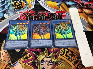 ネフティスの蒼凰神 スーパー 3枚セット てら