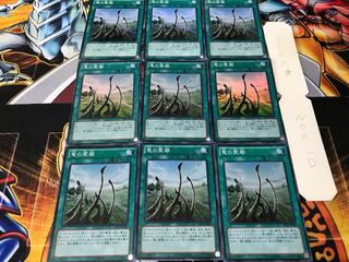 竜の霊廟 スーパー 9枚セット てら