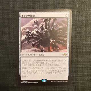 MH2【イラクサ嚢胞】日本語