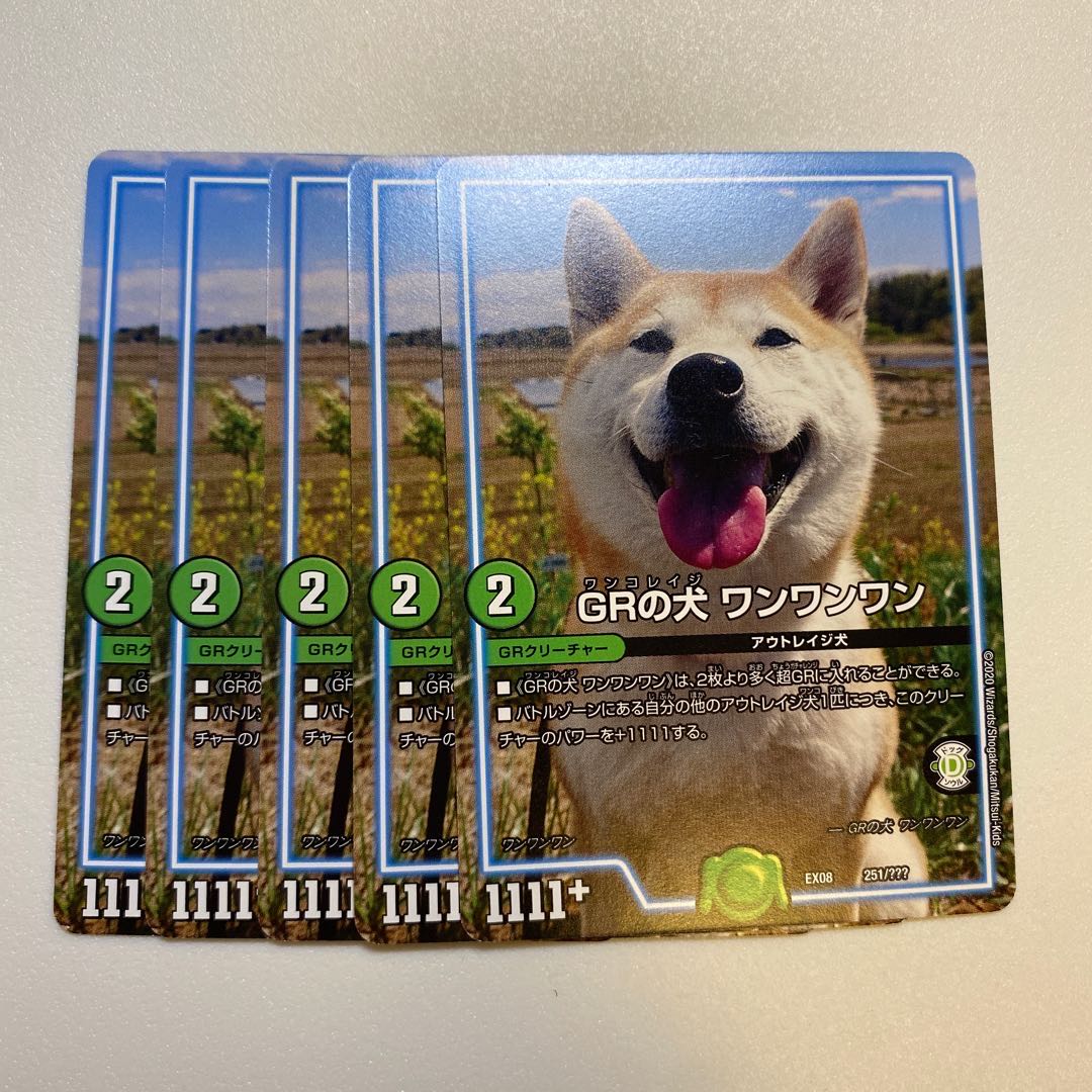 GR's dog Wang Wang Wang Wang