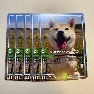 GR's dog Wang Wang Wang Wang