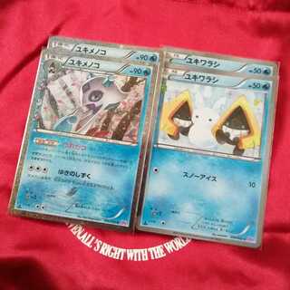 CP3 ユキワラシ・ユキメノコ