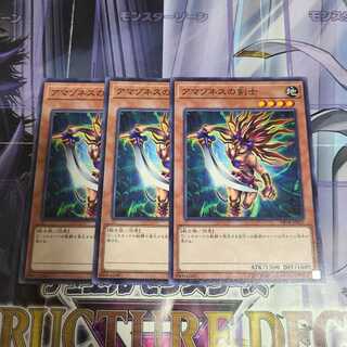 Amazoness Swords Woman Normal 3