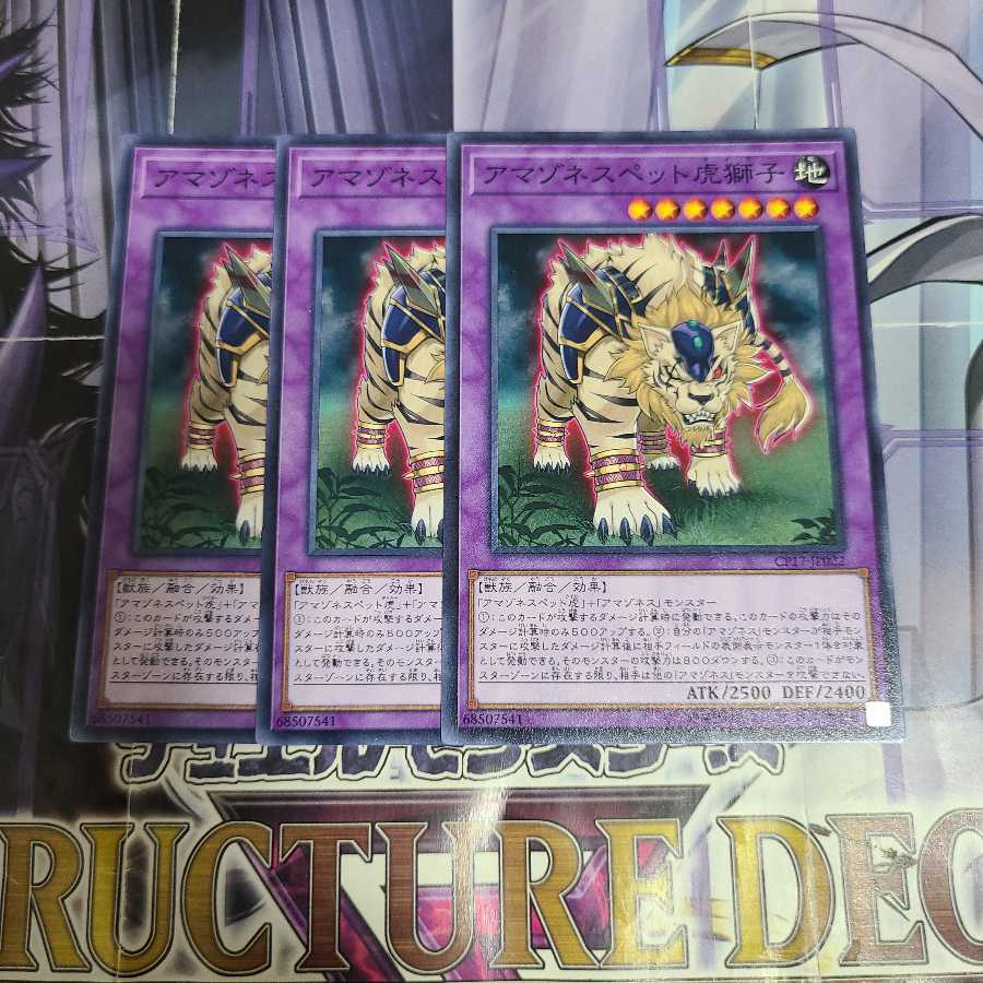 アマゾネスペット虎獅子 ノーマル　3枚