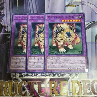 アマゾネスペット虎獅子 ノーマル　3枚