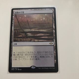 湿地の干潟　1枚