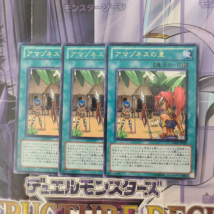 アマゾネスの里 レア 3枚