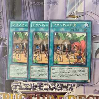 アマゾネスの里 レア　3枚