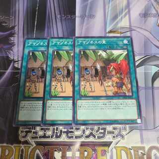 アマゾネスの里 ノーマル　3枚