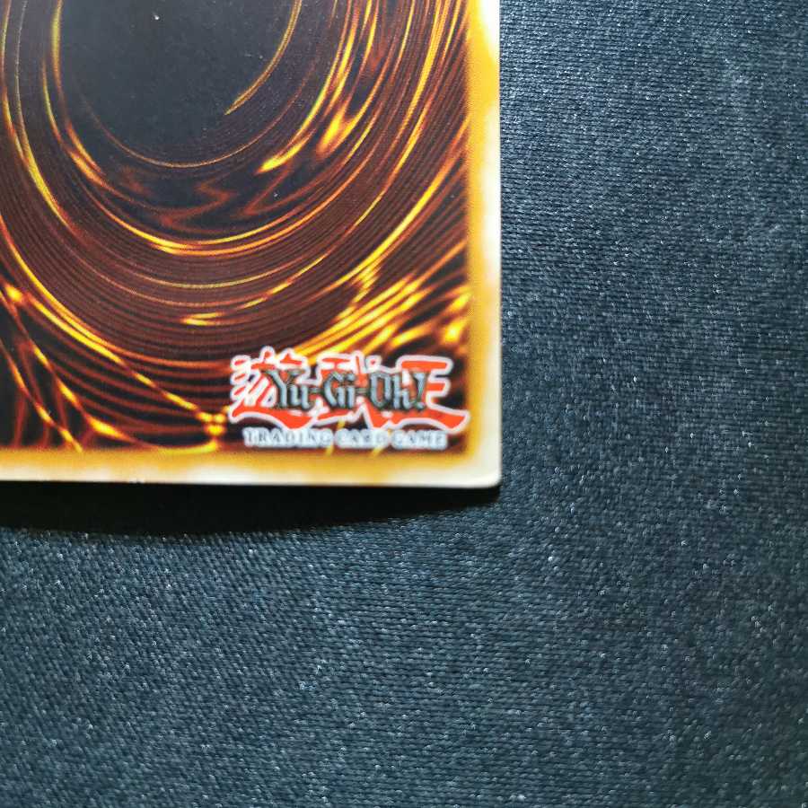 ~ Exclusive for Mr. Hanakonda ~ Valkyrion the Magna Warrior / English version / SDD