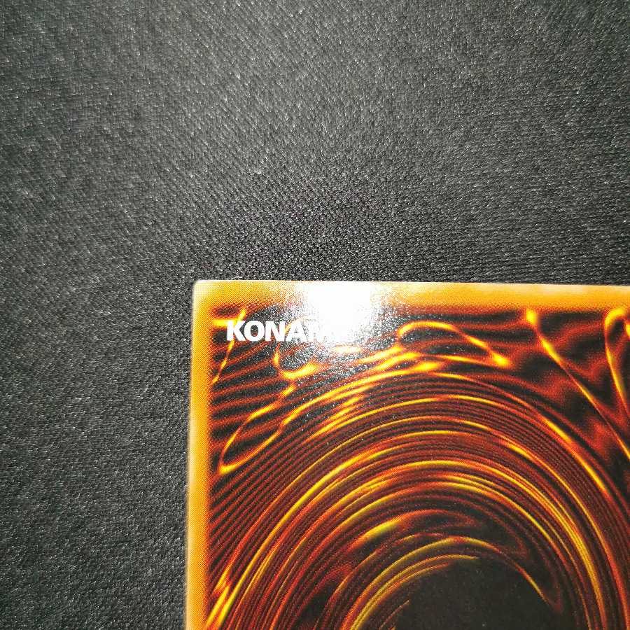 ~ Exclusive for Mr. Hanakonda ~ Valkyrion the Magna Warrior / English version / SDD