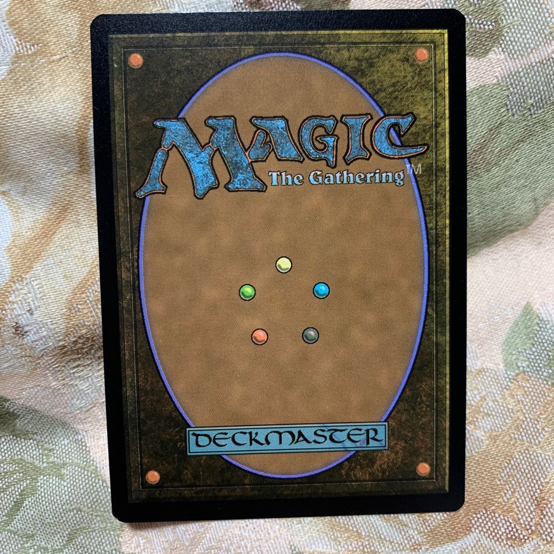 霧深い雨林　旧枠EC foil