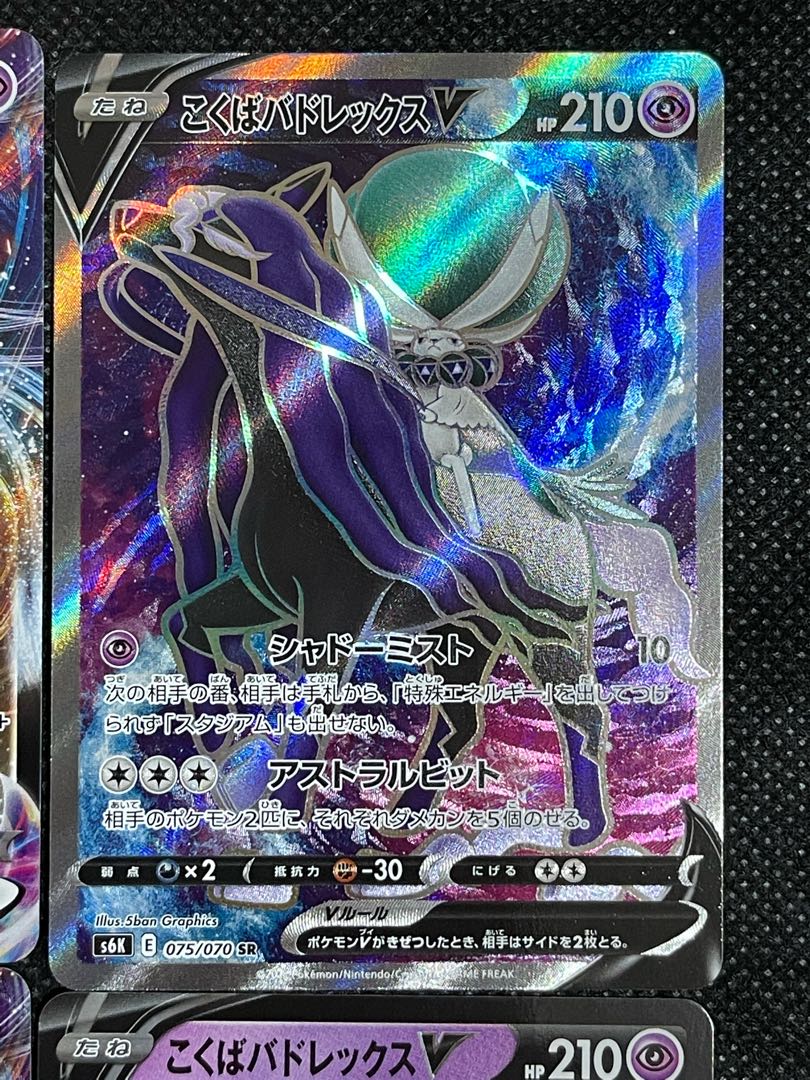 こくばバドレックスV・こくばバドレックスVMAX セット