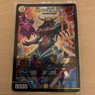 煌メク聖壁 灰瞳