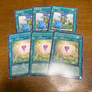 フレグランス・ストーム 増草剤　ノーマル　各3枚