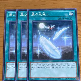 翼の恩返し ノーマル　三枚