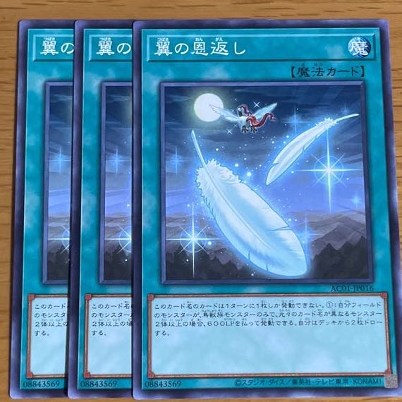 翼の恩返し　ノーマル三枚