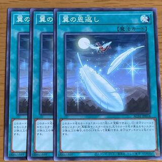 翼の恩返し　ノーマル三枚