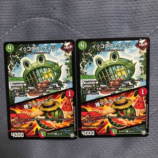 イッコダス・ケイジ｜種デスティニー