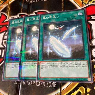 遊戯王 翼の恩返し