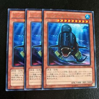 ビッグ・ホエール レア