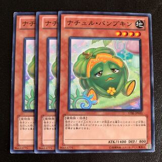 ナチュル・パンプキン ノーマル