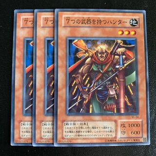 7つの武器を持つハンター 1枚