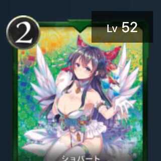 ショパード　1枚