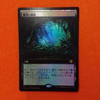 MTG1 Misty Rainforest extended art foil MH2-BF