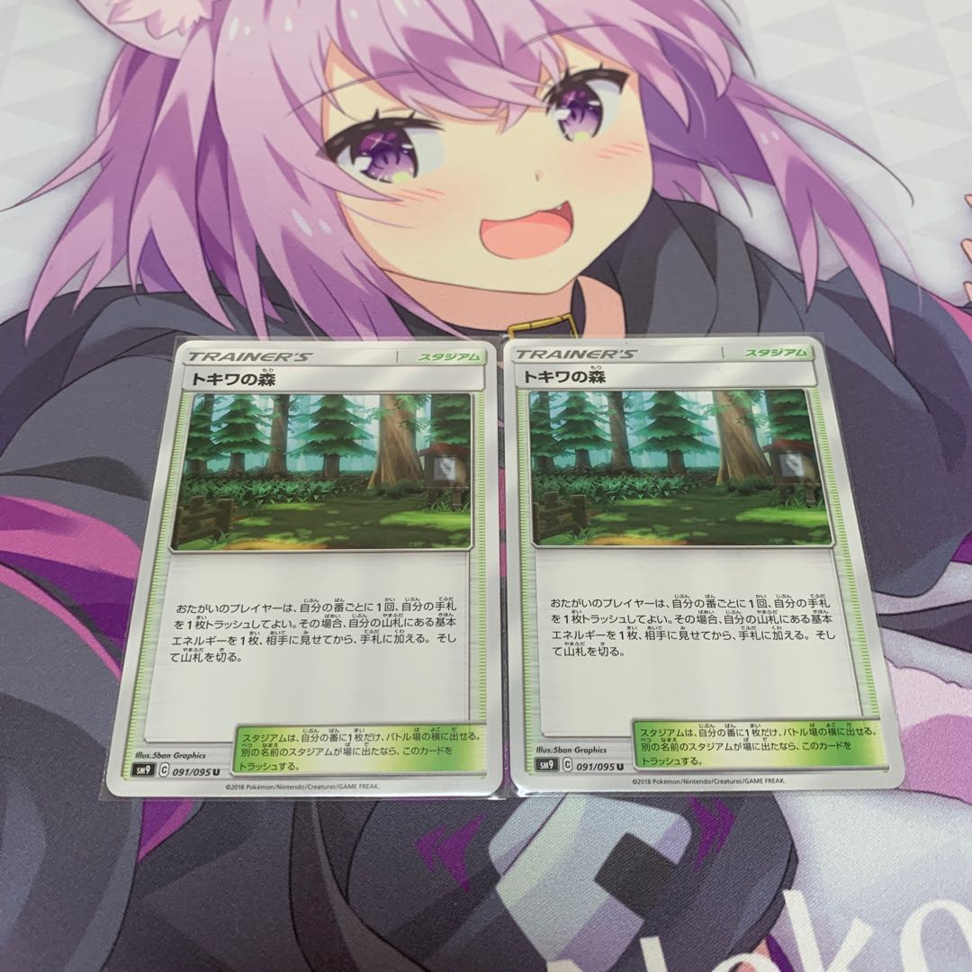 トキワの森　2枚セット