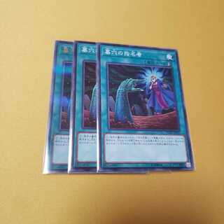 墓穴の指名者 1枚ウルトラ