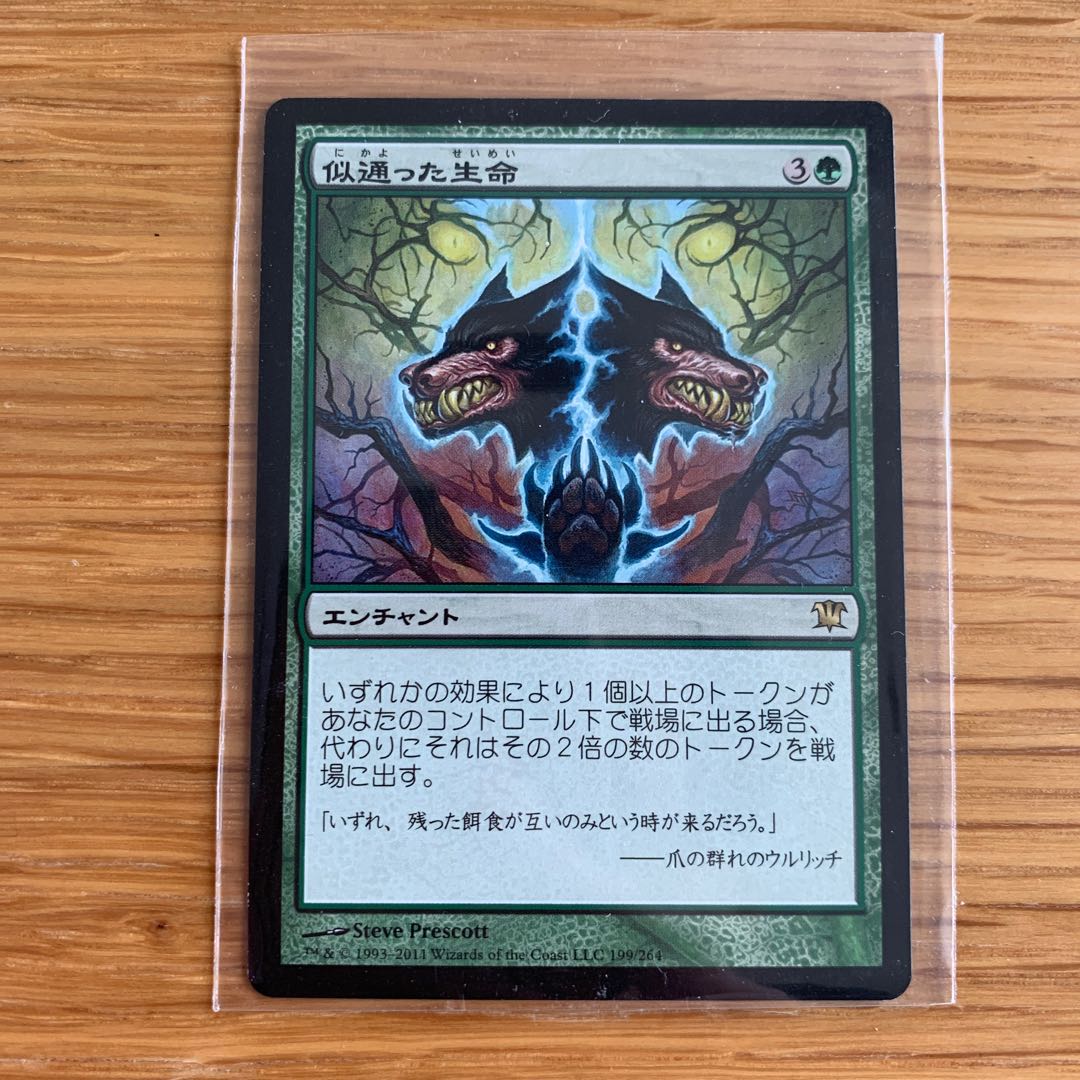 似通った生命　日本語 1枚