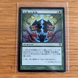 似通った生命　日本語 1枚