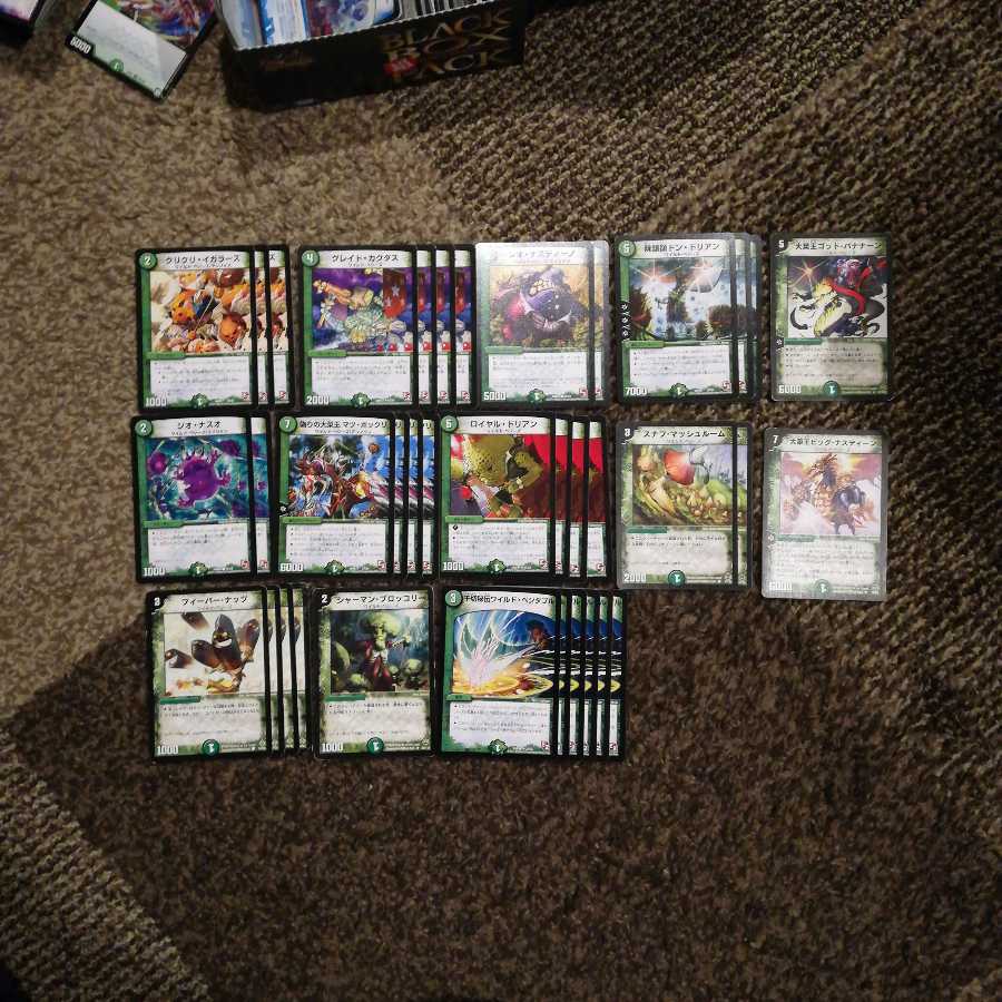 ワイルドべジーズセット