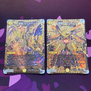 煌龍 サッヴァーク2枚セット