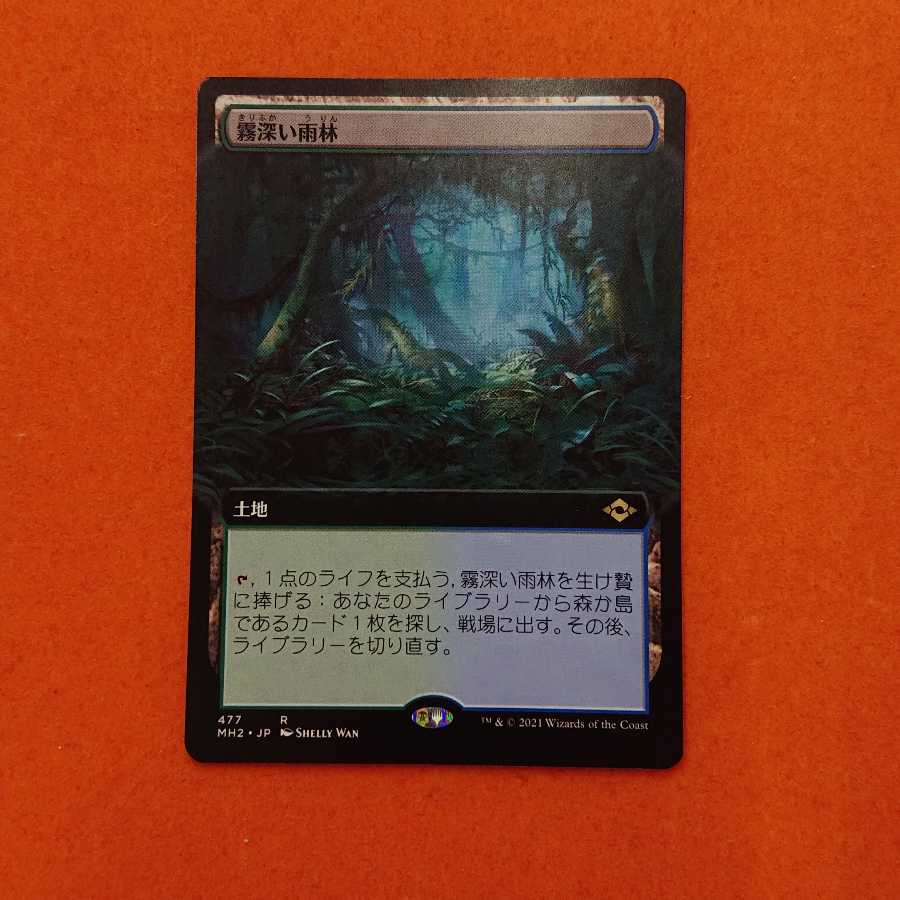 MTG1 Misty Rainforest Extension Art MH2-BF