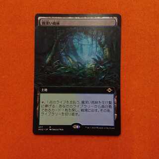 MTG1 Misty Rainforest Extension Art MH2-BF