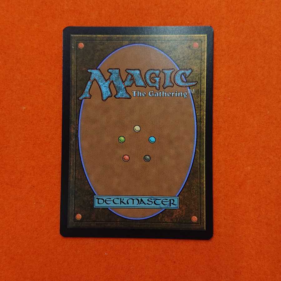 MTG1 Misty Rainforest Extension Art MH2-BF