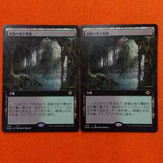 MTG1 新緑の地下墓地 拡張アート MH2-BF 2枚セット