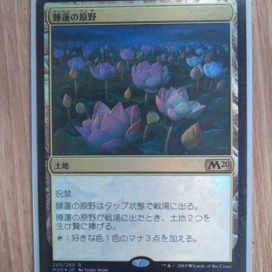 睡蓮の原野 Foil
