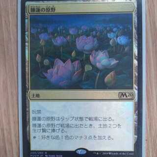 睡蓮の原野　Foil