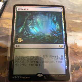 MH2 霧深い雨林 日付foil 1枚