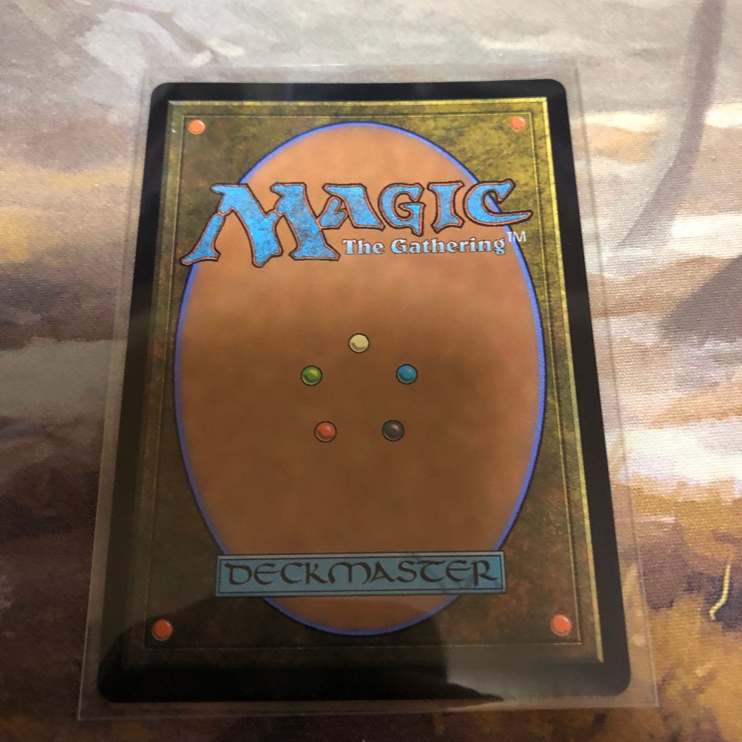 MH2 霧深い雨林 日付foil 1枚