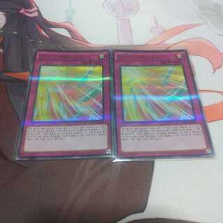 【韓国】　ハーピィの羽根吹雪 パラレル ウルトレレア