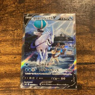 はくばバドレックスV  SA