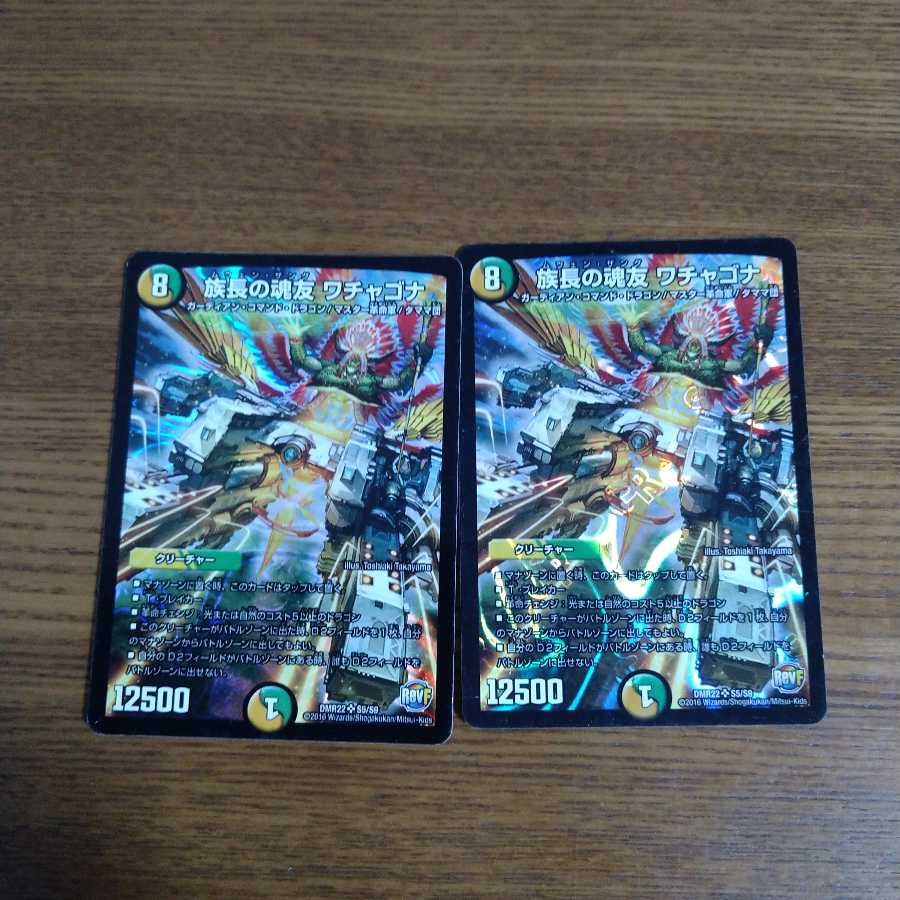 族長の魂友 ワチャゴナ