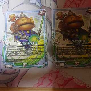 Poktama (variety of rice)